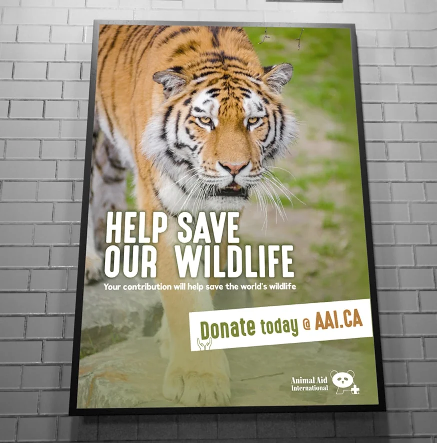 Animal Aid International